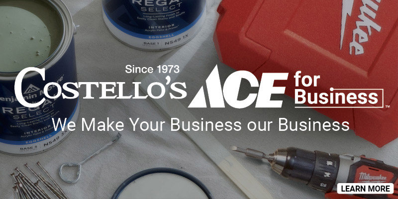 Ace For Bussiness