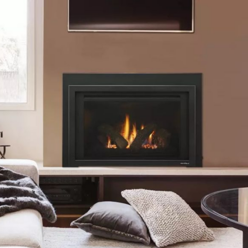 Heat & Glo Provident Gas Insert